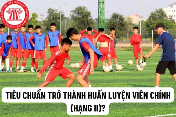 Tiêu chuẩn trở thành huấn luyện viên chính (hạng II)? Mức lương đối với viên chức là huấn luyện viên hạng II?