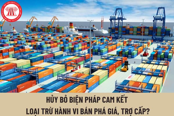 Biện pháp cam kết loại trừ hành vi bán phá giá, trợ cấp có thể bị hủy bỏ hay không? Hành vi nào được xem là vi phạm biện pháp cam kết loại trừ hành vi bán phá giá, trợ cấp?