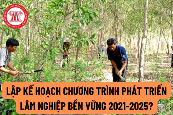 Thông tư 12/2022/TT-BNNPTNT: Lập, triển khai kế hoạch hằng năm Chương trình phát triển Lâm nghiệp bền vững giai đoạn 2021-2025?