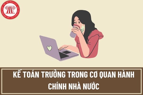 Kế toán trưởng trong cơ quan hành chính nhà nước phải đảm ứng yêu cầu về trình độ như thế nào?