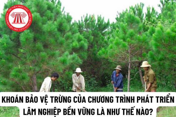 Khoán bảo vệ rừng thuộc chương trình phát triển lâm nghiệp bền vững được quy định như thế nào?