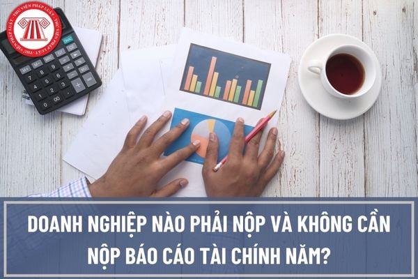 Doanh nghiệp nào phải nộp và không cần nộp báo cáo tài chính năm? Không nộp báo cáo tài chính năm có thể bị xử phạt bao nhiêu tiền?