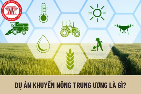 Dự án khuyến nông trung ương là gì? Chương trình khuyến nông trung ương được quy định như thế nào?