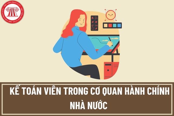 Kế toán viên trong cơ quan hành chính nhà nước có phạm vi quyền hạn được pháp luật quy định như thế nào? 