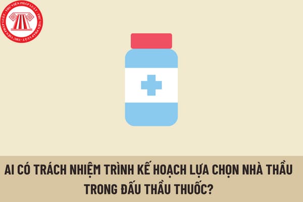 Chủ thể nào có trách nhiệm trình kế hoạch lựa chọn nhà thầu trong đấu thầu thuốc tại các cơ sở y tế công lập?