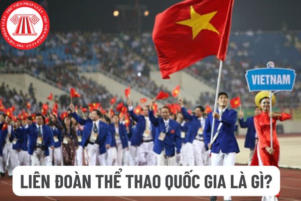Liên đoàn thể thao quốc gia là gì? Việt Nam hiện nay đang có các Liên đoàn thể thao nào?