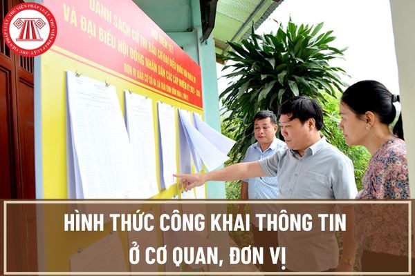 Lựa chọn các hình thức công khai thông tin ở cơ quan, đơn vị được thực hiện như thế nào theo quy định mới?