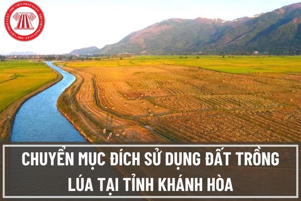 Thí điểm về thủ tục chấp thuận chuyển mục đích sử dụng đất trồng lúa tại tỉnh Khánh Hòa được thực hiện như thế nào?