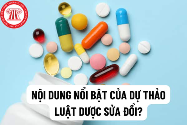 Xây dựng Luật Dược sửa đổi cần tăng cường trách nhiệm các cấp, các ngành, phòng, chống tiêu cực, tham nhũng?