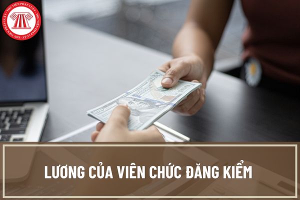 Lương của viên chức đăng kiểm có cao không? Hệ số lương chức danh nghề nghiệp viên chức chuyên ngành đăng kiểm là bao nhiêu?