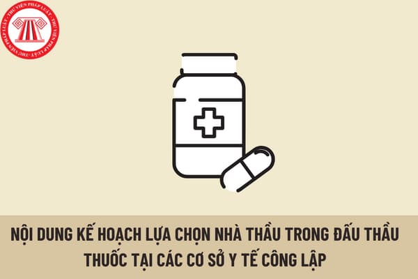 Nội dung kế hoạch lựa chọn nhà thầu trong đấu thầu thuốc tại các cơ sở y tế công lập phải được ghi như thế nào?