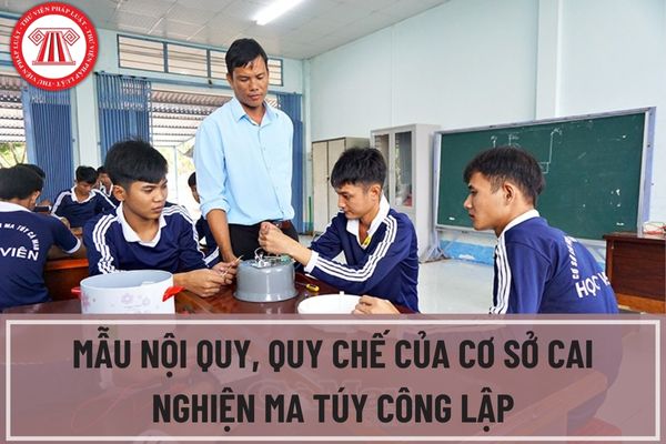 Mẫu nội quy, quy chế của cơ sở cai nghiện ma túy công lập? Nguyên tắc xây dựng nội quy, quy chế tại cơ sở cai nghiện ma túy công lập là gì?