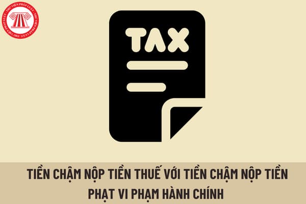 Hướng dẫn cách tính chậm nộp thuế thu nhập cá nhân tại Việt Nam