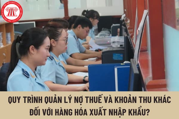 Tổng cục Hải quan vừa ban hành mới quy trình quản lý nợ thuế và khoản thu khác đối với hàng hóa xuất nhập khẩu?