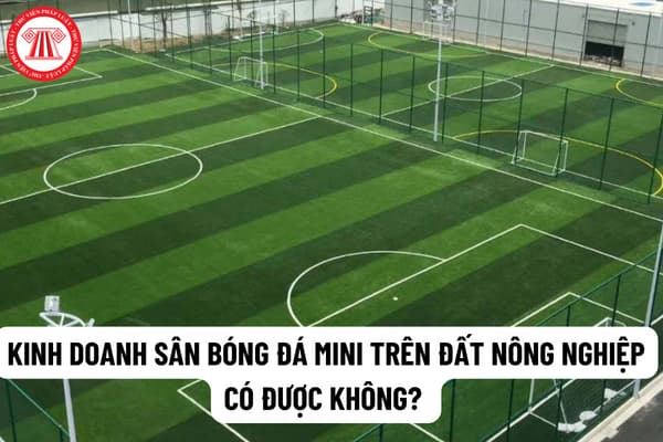 Kinh Doanh Sân Bóng Đá Mini Trên Đất Nông Nghiệp Có Được Không? Điều Kiện  Về Sân Bãi Như Thế Nào Khi Kinh Doanh Sân Bóng Đá Mini?