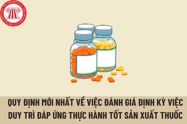 Quy định mới nhất về việc đánh giá định kỳ việc duy trì đáp ứng Thực hành tốt sản xuất thuốc, nguyên liệu làm thuốc?