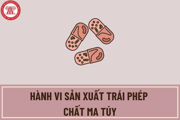 Như thế nào được xem là hành vi sản xuất trái phép chất ma túy? Sản xuất trái phép bao nhiêu gam chất ma túy thì bị truy cứu trách nhiệm hình sự?