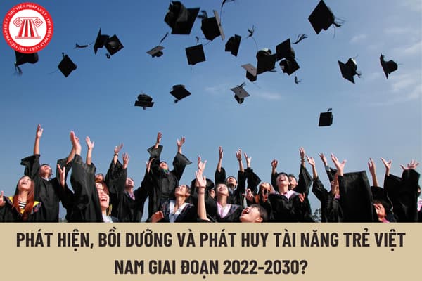 Mục tiêu đến năm 2025 xây dựng được Mạng lưới tài năng trẻ Việt Nam toàn cầu và Công viên số Tài năng trẻ Quốc gia?