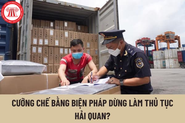 Trình tự thực hiện cưỡng chế bằng biện pháp dừng làm thủ tục hải quan trong quản lý nợ thuế được quy định như thế nào?