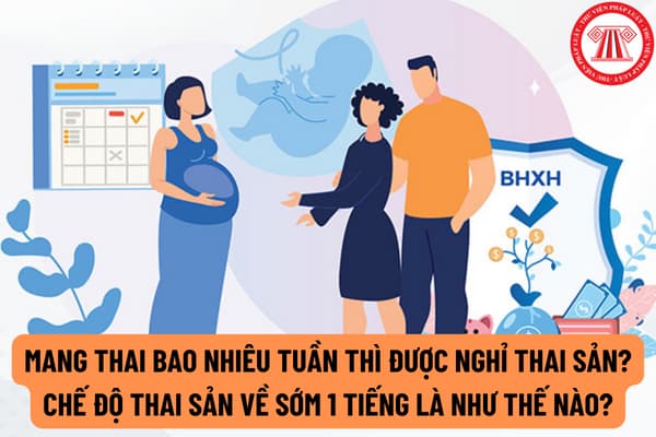 Quy đổi tháng sang tuần trong thai kỳ như thế nào?
