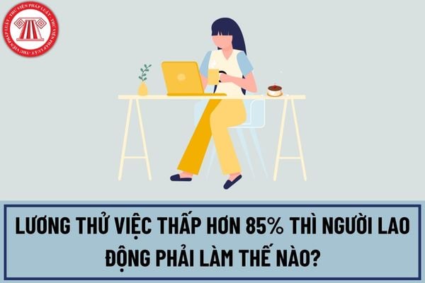 Công ty trả lương thử việc thấp hơn 85% hoặc không được trả lương thử việc thì người lao động phải làm thế nào?