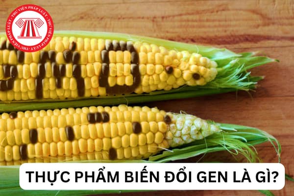 Công nghệ chuyển gen có ảnh hưởng như thế nào đến sức khỏe và môi trường?