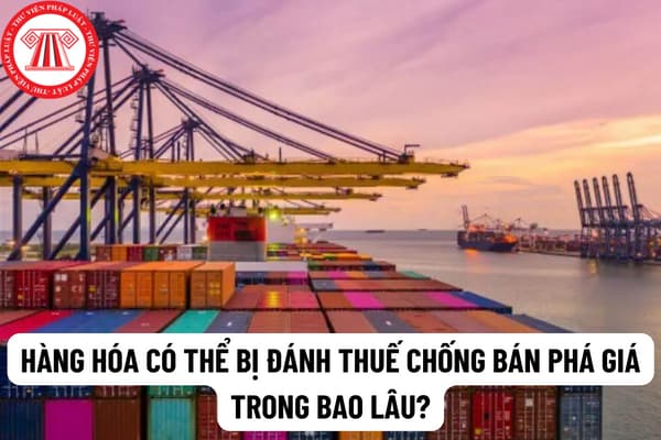 Hàng hóa có thể bị đánh thuế chống bán phá giá trong bao lâu? Quyết định gia hạn thuế chống bán phá giá có phải căn cứ vào kết quả rà soát cuối kỳ hay không?