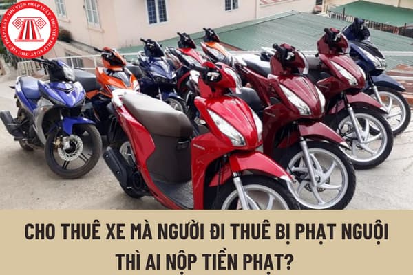 Cho thuê xe mà người đi thuê bị phạt nguội thì ai nộp tiền phạt? Người cho thuê xe có thể làm gì để không bị phạt nguôi khi cho khách thuê?