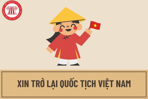Mẫu đơn xin trở lại quốc tịch Việt Nam được quy định như thế nào? Hồ sơ xin trở lại quốc tịch Việt Nam bao gồm những gì?