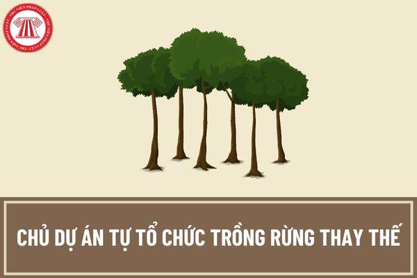 Điều kiện để chủ dự án tự tổ chức trồng rừng thay thế khi chuyển mục đích sử dụng rừng sang mục đích khác là gì?