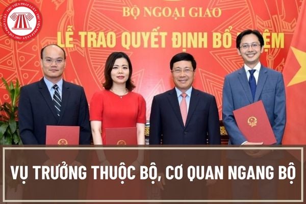 Vụ trưởng thuộc Bộ, cơ quan ngang Bộ là ai? Vụ trưởng làm việc ở các Bộ, Cơ quan ngang bộ phải có trình độ và phẩm chất như thế nào?