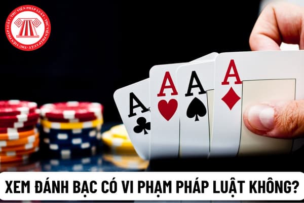 Ngồi xem đánh bạc có phạm tội không? Chưa đủ 18 tuổi đánh bạc ở casino có được không?