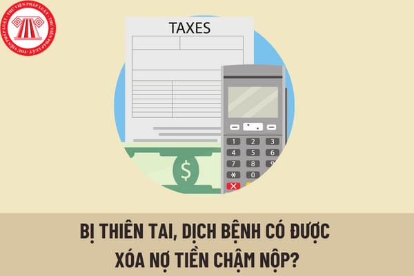 Hồ sơ xóa nợ tiền phạt chậm nộp, tiền chậm nộp đối với người nộp thuế bị thiên tai, thảm họa, dịch bệnh, hỏa hoạn, tai nạn bất ngờ?