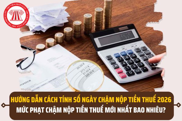 Pháp luật
