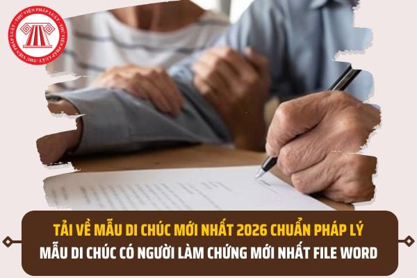 Pháp luật