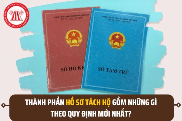 Pháp luật
