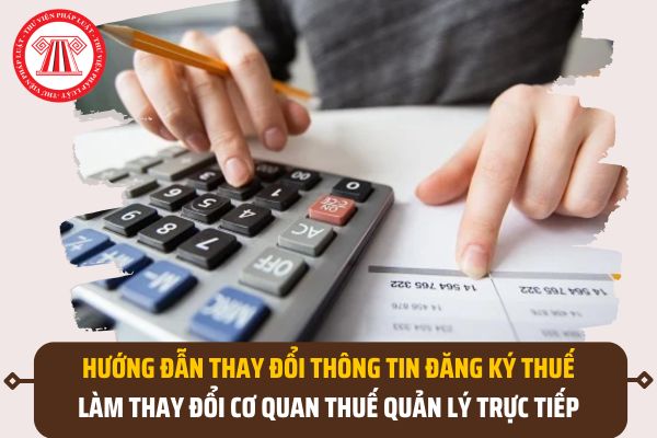 Pháp luật