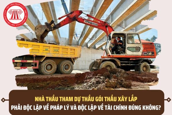 Pháp luật