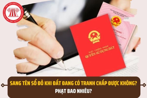 Pháp luật