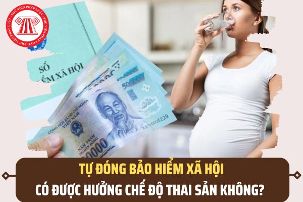 Pháp luật