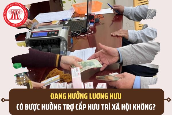 Pháp luật