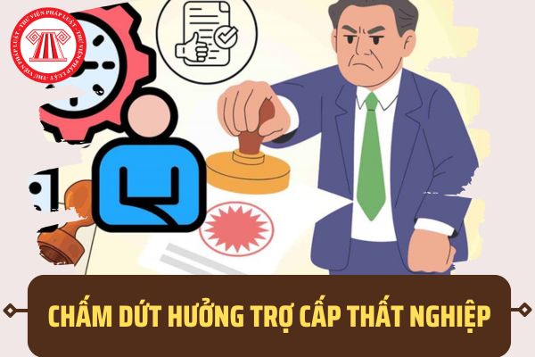 Pháp luật