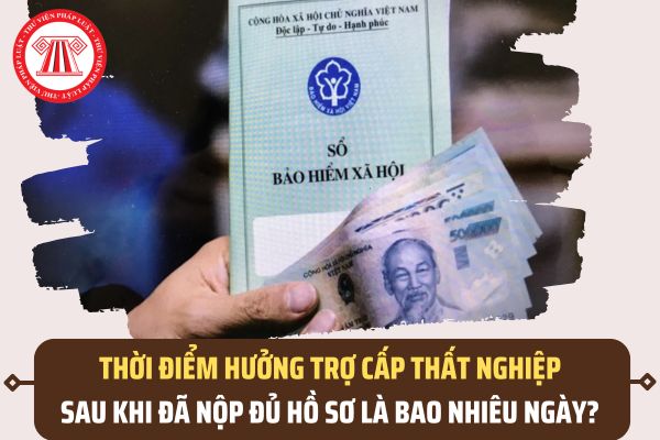 Pháp luật