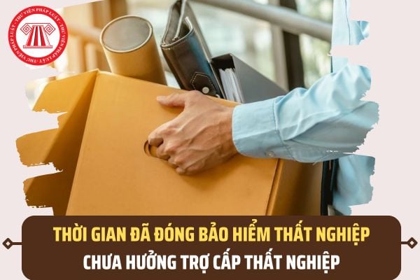 Pháp luật