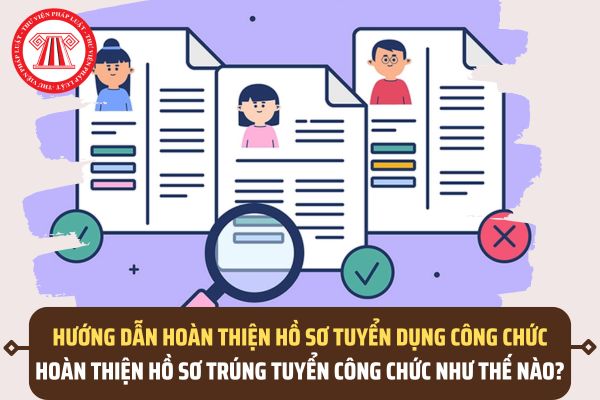 Pháp luật