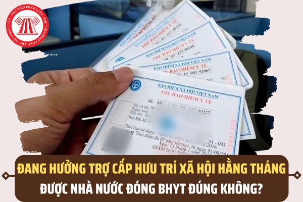 Pháp luật