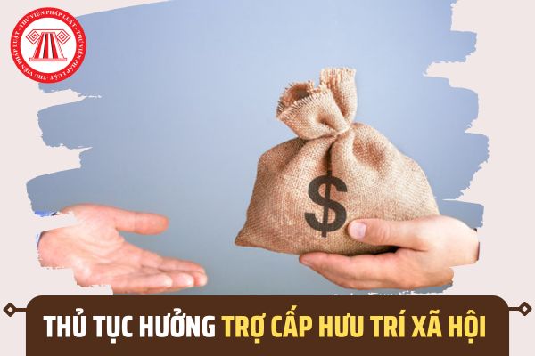 Pháp luật