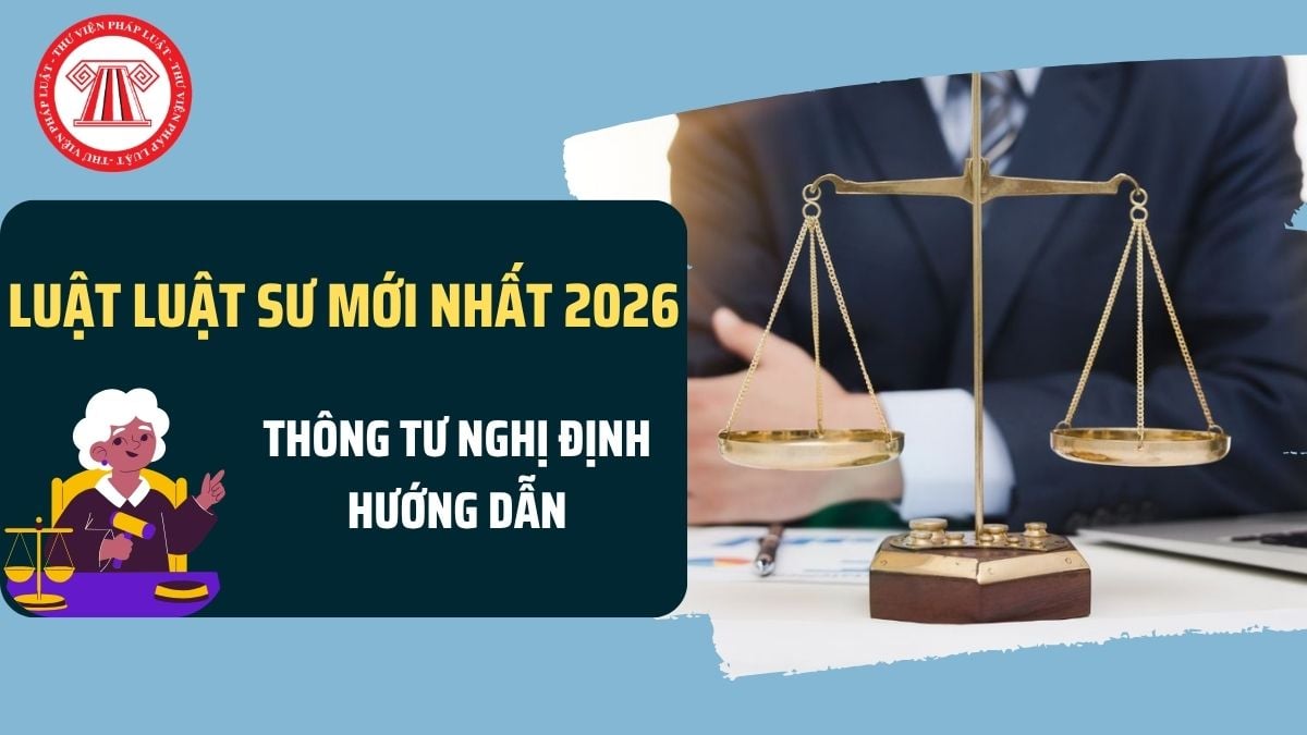 Pháp luật