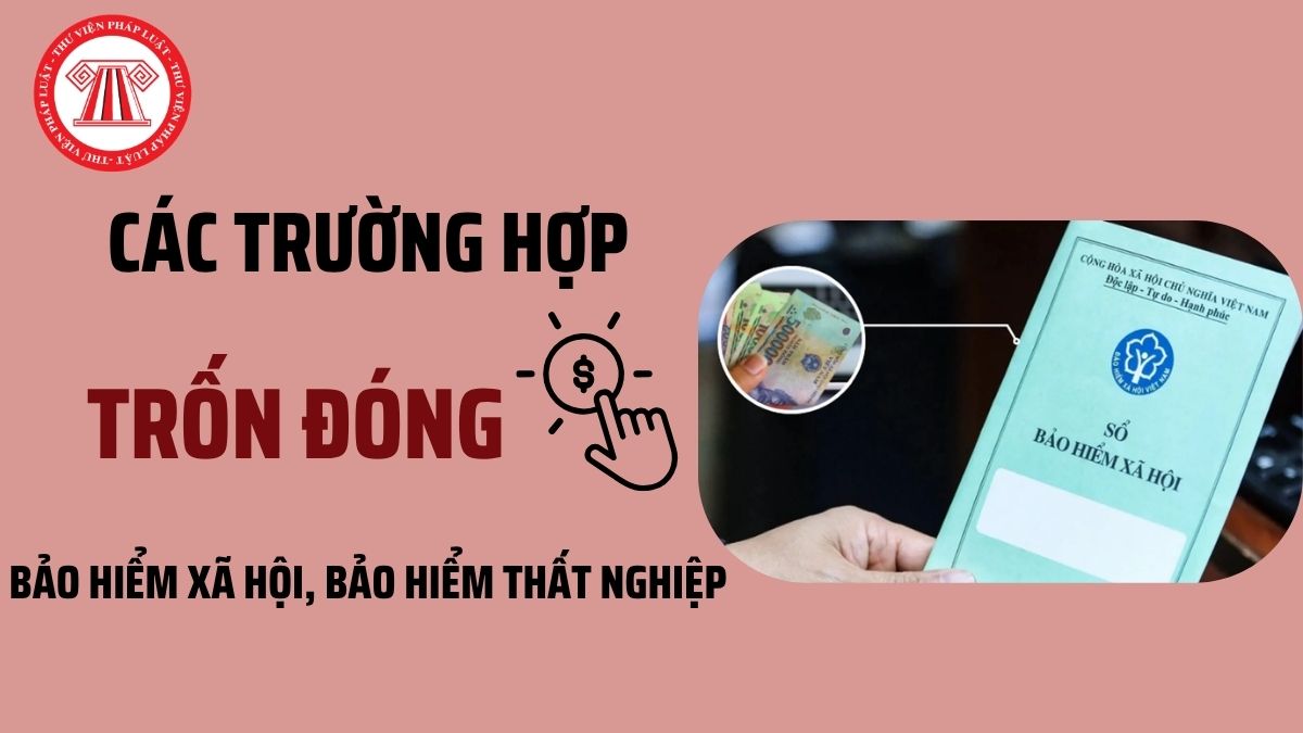 Pháp luật