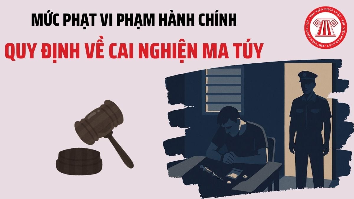 Pháp luật